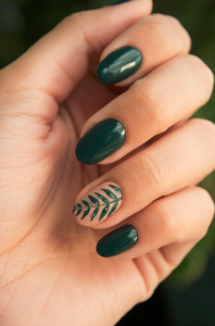 Best Nail Salon gel nail colors with nail art. Modern Wedding Dip Nail Spa Party services. Multiple Manicure Nail colors and gel with nail art tips. Dip nail lounge manicure services. Nail bar manicure services lots of nail polish color options.